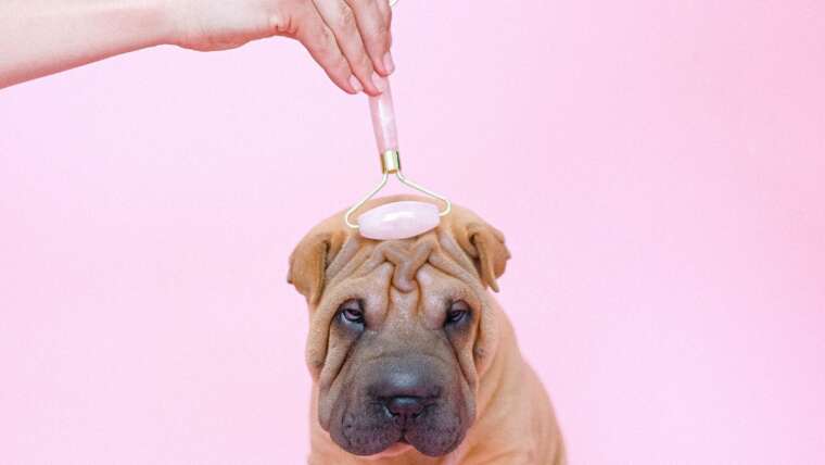 7 bad habits that causes wrinkles and you should avoid