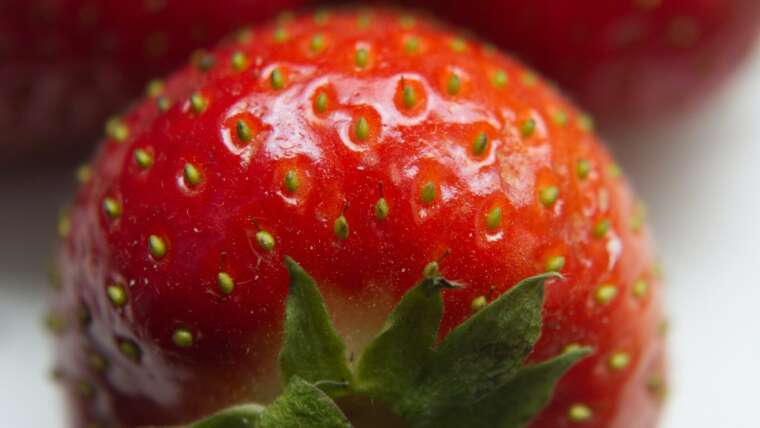 KNOW MORE ABOUT STRAWBERRY LEGS